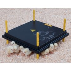 Varmeplate på 40 x 40 cm, perfekt for å holde kyllinger varme.