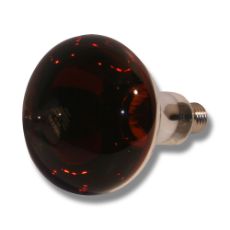 Økonomi IR 250W glødelampe for effektiv varme i dyrestaller og drivhus.