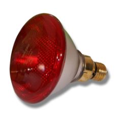 Økonomi PAR 100W glødelampe for effektiv belysning og energigebyr.