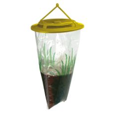 Fly-City vepsfanger for effektiv fangst av veps i hagen.