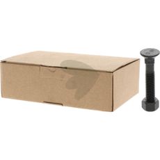 Robuste M12x55 plogskruer i 25-pakning, designet for harde arbeidsbelastningsapplikasjoner.