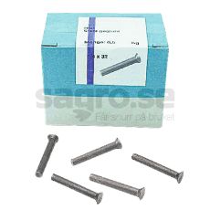 Runde hodenagler 6,3X16 mm, pakket i ca. 100 stykker for robuste monteringsløsninger.