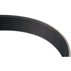Poly-V / multiribbereim 8PK3000 JD - L203293