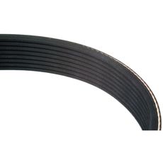 Poly V / multiribbereim 8PK2215 JD - L110391