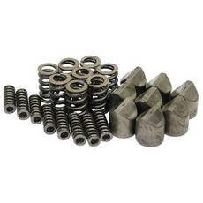 Komplett kam og fjærserie for optimal ytelse under sesongen.