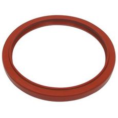 IH 218271A1 bakre veivakselpakning, mekanisk beskyttelse for motoren din.