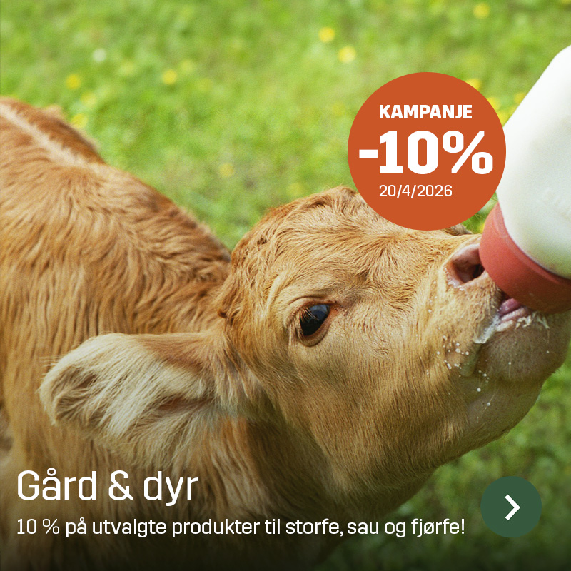 Kalv drikker melk fra flaske i en grønn eng, vist i nærbilde av hodet og mulen. Sagros sortiment innen gård og dyr brukes til fôring og stell av kalver i landbruket.