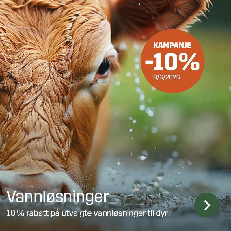 Nærbilde av kalv som drikker vann med vannsprut i forgrunnen og kampanjetekst om vannløsninger til dyr. Sagros sortiment innen vannløsninger vises i et miljø knyttet til dyrehold.